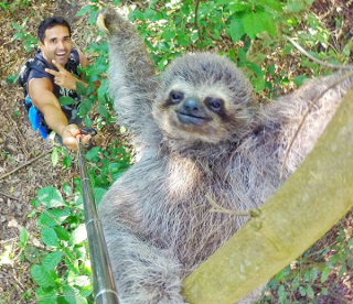 animal-selfie